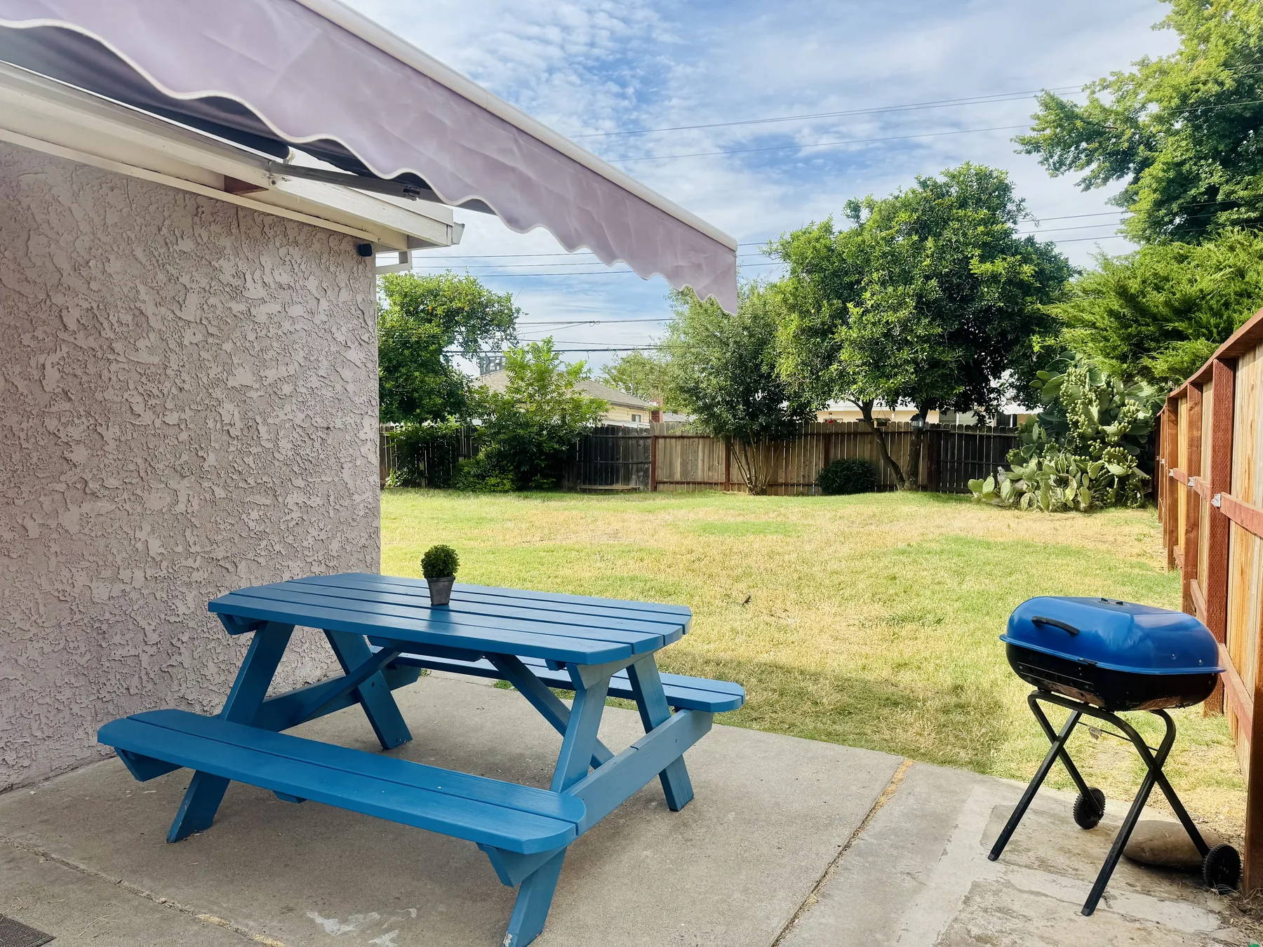 Backyard patio with a picnic table and grill