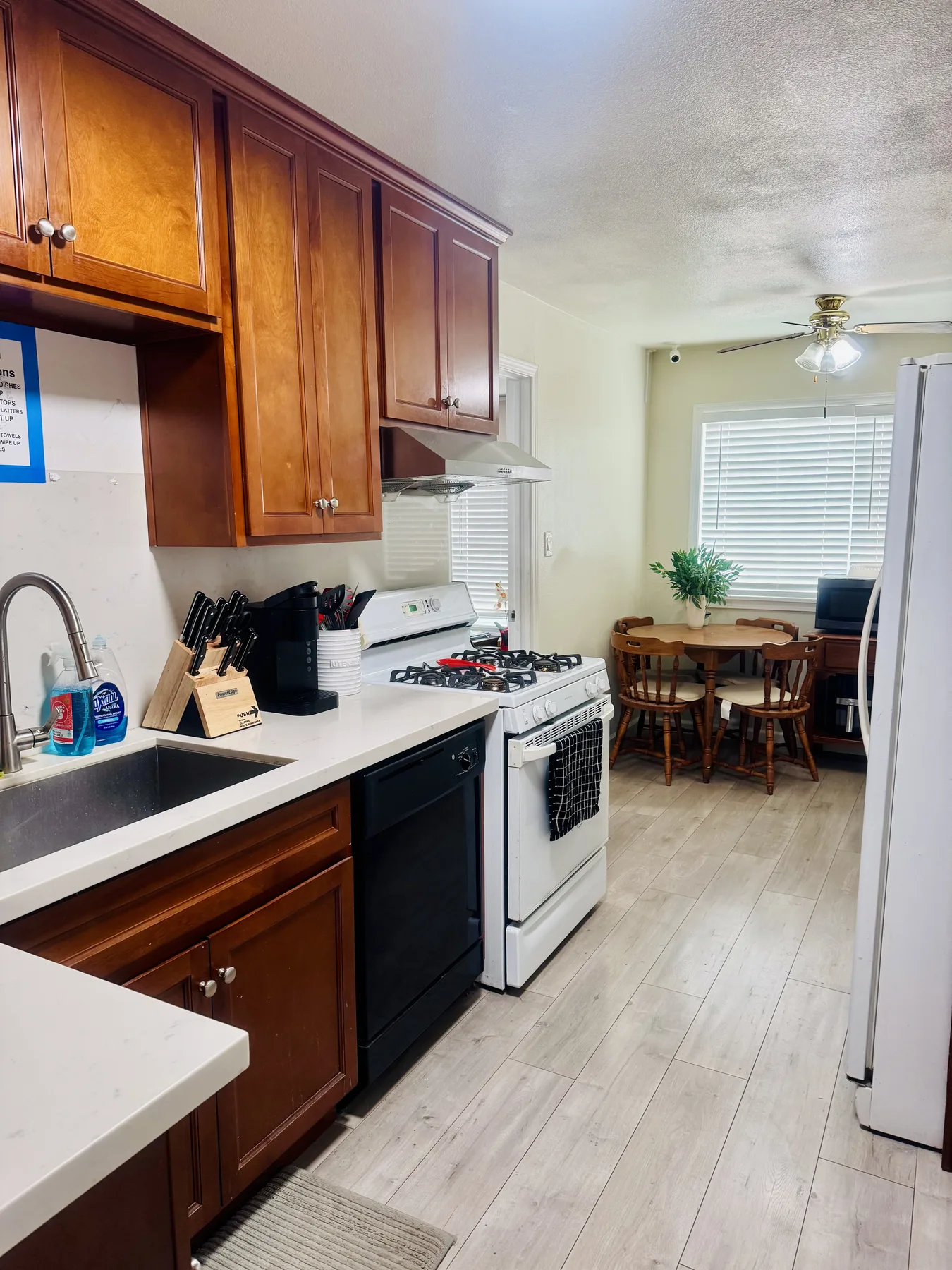 Shared kitchen and dining area