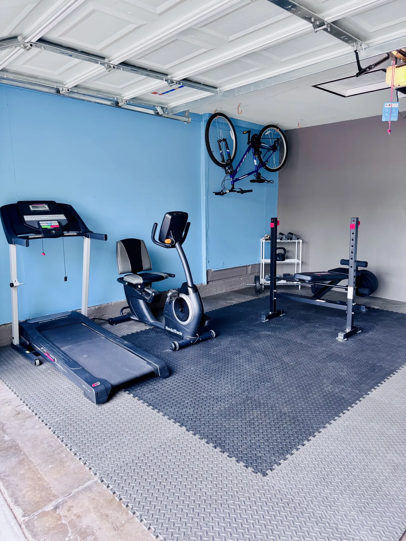 Recreation room with exercise equipment
